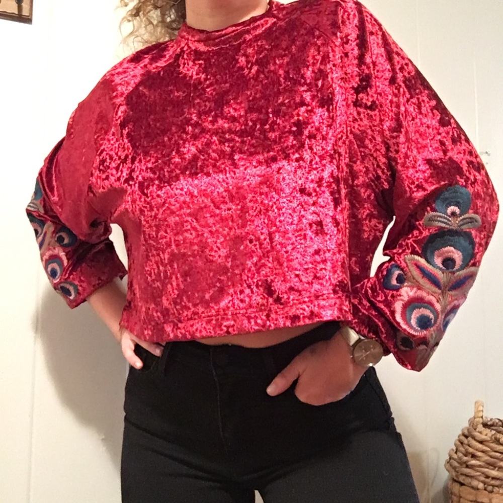 New from Argentina! Crushed velvet embroidered top